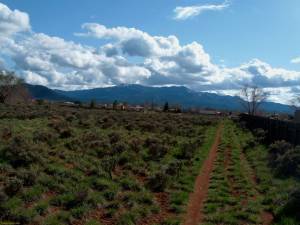 Town of Taos Building Site on Este Es Road