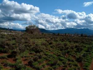 Town of Taos Home Site on Este Es Road