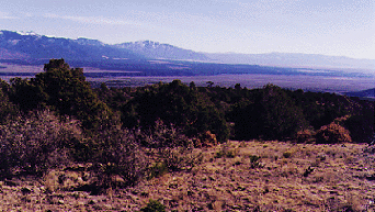 mountain land for sale in Taos County on Cerro Montoso