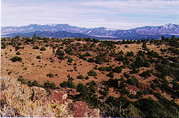 Taos County mountain land for sale on Cerro Montoso 
